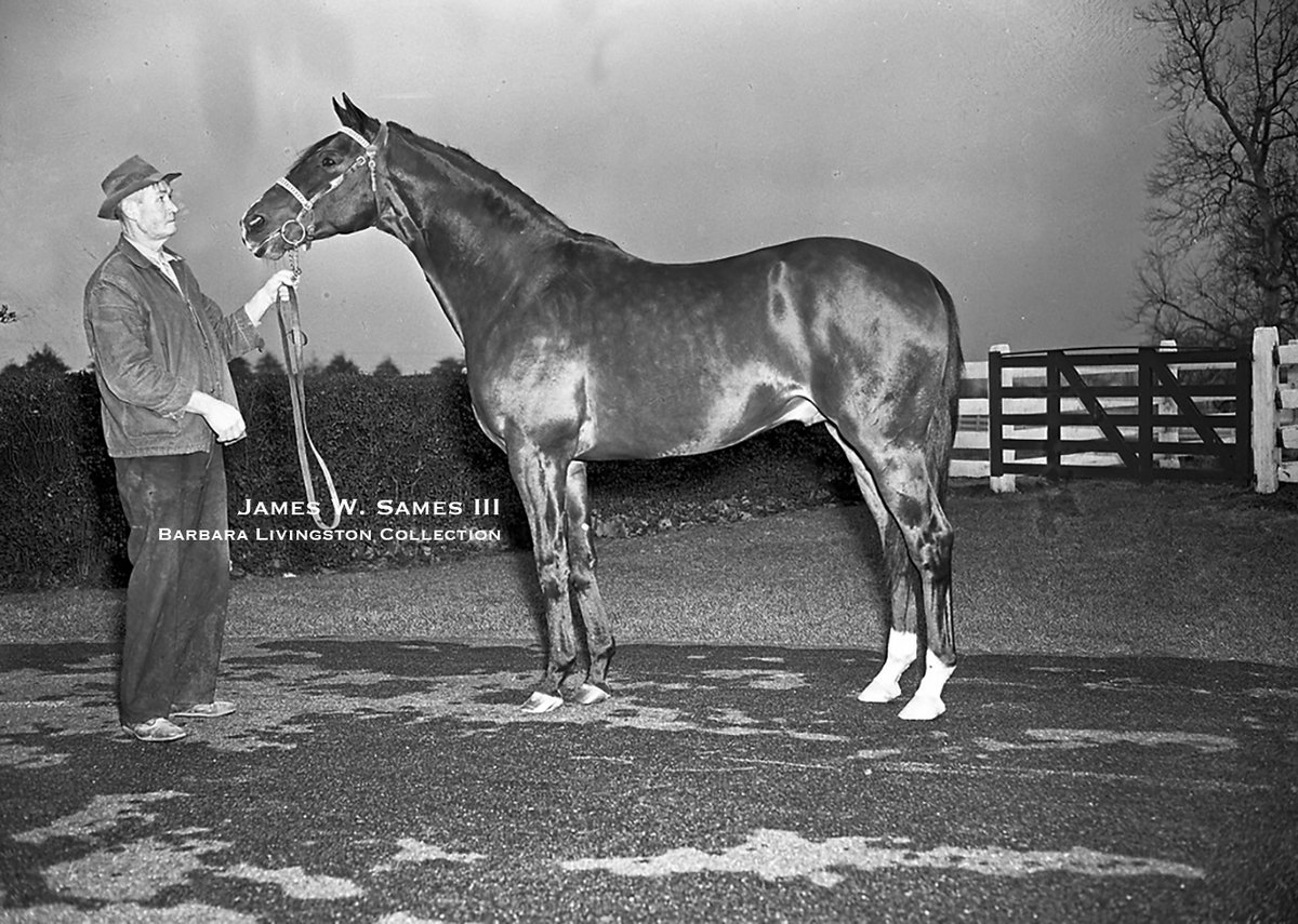 GALLAHADION (*Sir Gallahad III - Countess Time, by Reigh Count) was the surprise winner of the 1940 Kentucky Derby. In 1940, GALLAHADION also won the San Vicente, was second in the Derby Trial and Arlington Classic, was 3rd in the Preakness, etc. Overall record: 36-6-6-4