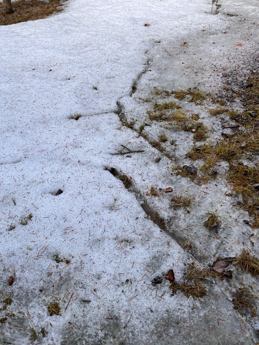 Friends of Kananaskis Country tweet media