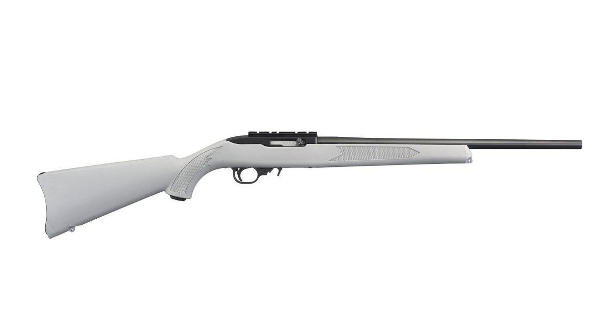 Ruger 10/22 22LR with gray stock & optics mount for $235/ea shipped currently here: mrgunsngear.org/4daWJb5

#22LR #plinking #prepping