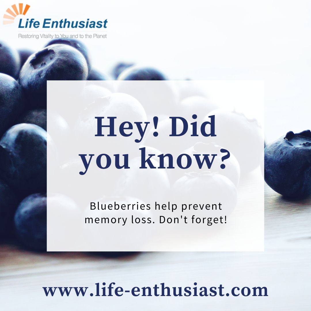 So, remember to include blueberries in your diet to boost your memory!

rfr.bz/tl8eckn

#BlueberryBoost #MemoryMagic #BrainFood #AntioxidantRich #HealthyEating #CognitiveFunction #NutritionTip #HealthFacts #RememberToEatBlueberries #MindFuel