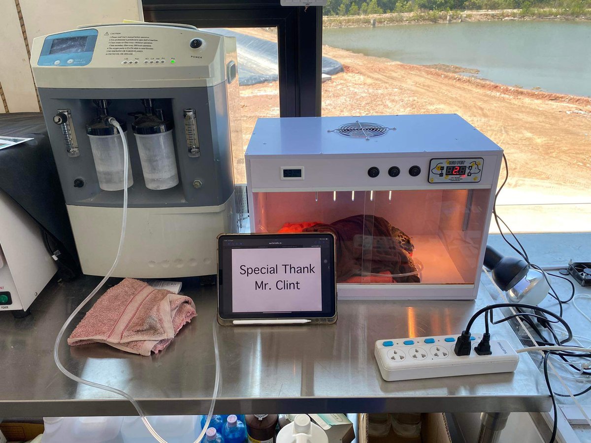 The Builder of DSCommunity ☉ 🐉🪔 tweet media