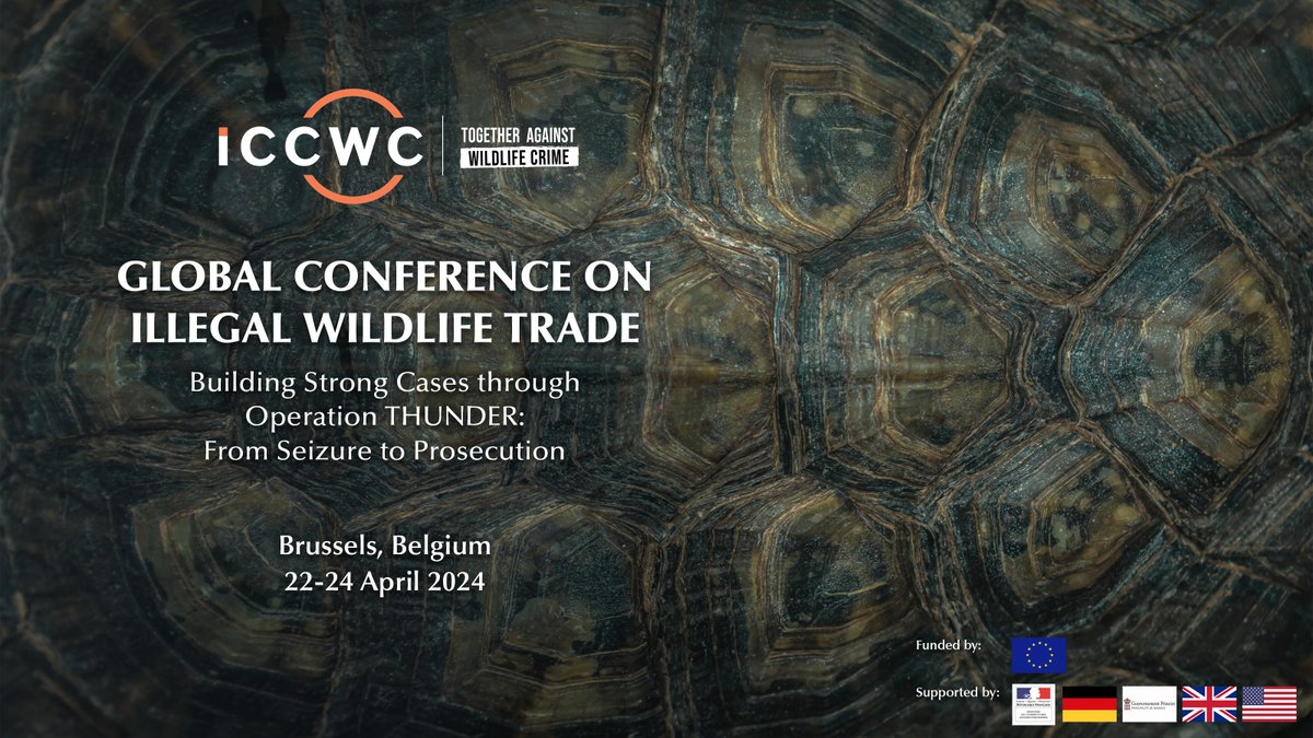 📢 Today on #EarthDay, the #ICCWC Illegal Wildlife Trade Global Conference begins! Over the next 3 days, global law enforcement will meet to discuss best practices & lessons learned to combat #wildlifecrime. 
#TogetherAgainstWildlifeCrime #FromSeizureToProsecution