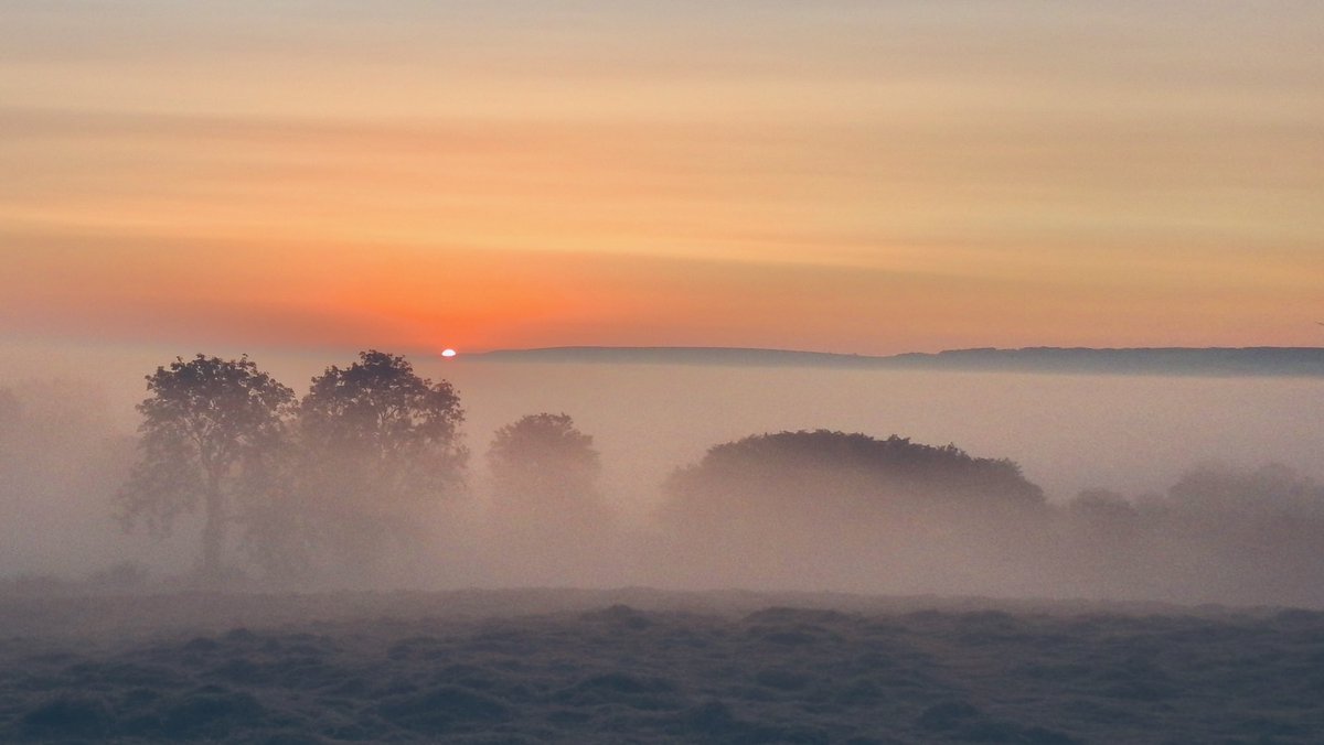 Dachre neis iawn i wythnos newydd…mwynhewch eich diwrnod x A lovely start to a new week…enjoy your day x