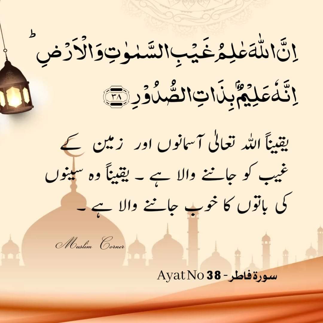 #Assalamu_alaikum_________
#Good_morning______