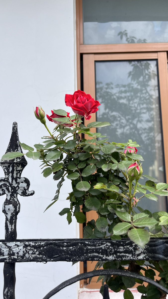 Yoly🍓 tweet media