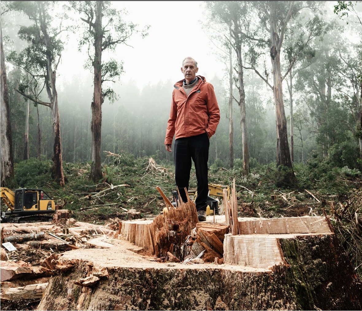 This shouldn't be legal (let alone tax-payer funded) in an #extinction & #climate crises. A year ago we launched THE GIANTS film to end native #forest logging. Let's get the job done. #EarthDay2024 #habitat #Auspol #Australia #TanyaPlibersek #ChrisMinns #JeremyRockcliff