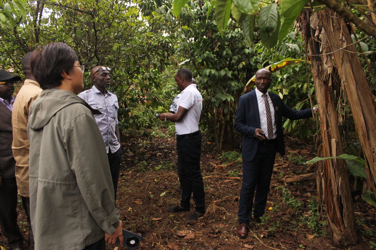 BusogaConsorti1's tweet photo. Empowering agriculture through the Village Agriculture Model project(VAM) is our catalyst for holistic development. With inclusive participation, we sow the seeds of progress for all. Join us in cultivating a thriving future.

 #AgriculturalEmpowerment https://t.co/qgImQdeLkg