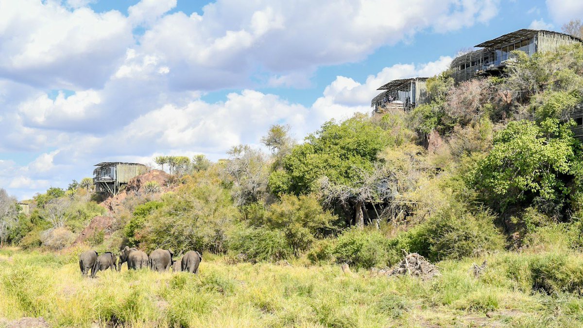 The hidden gem of Kruger National Park🌿Lembombo Lodge! 

Surrounded by sights and sounds of the wild. Lounging by the infinity pool or savoring gourmet cuisine under the stars, elevate your #safari #adventure to new heights!

🌐gazellesafaricompany.com 

#visitsouthafrica