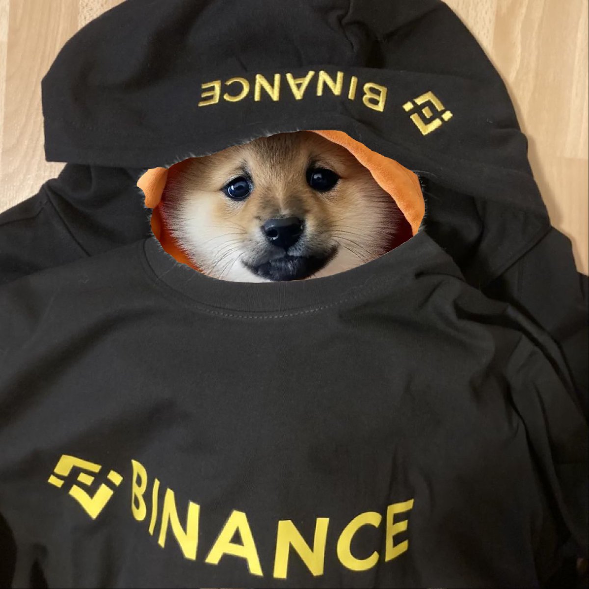 Leonidas 🧡 $DOG tweet media