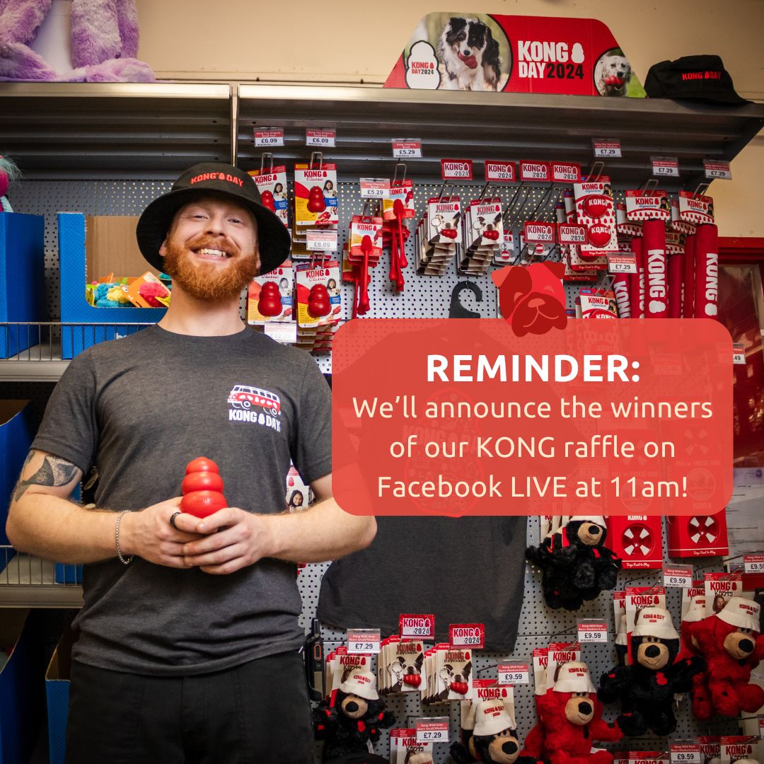 RookesPetProducts tweet media