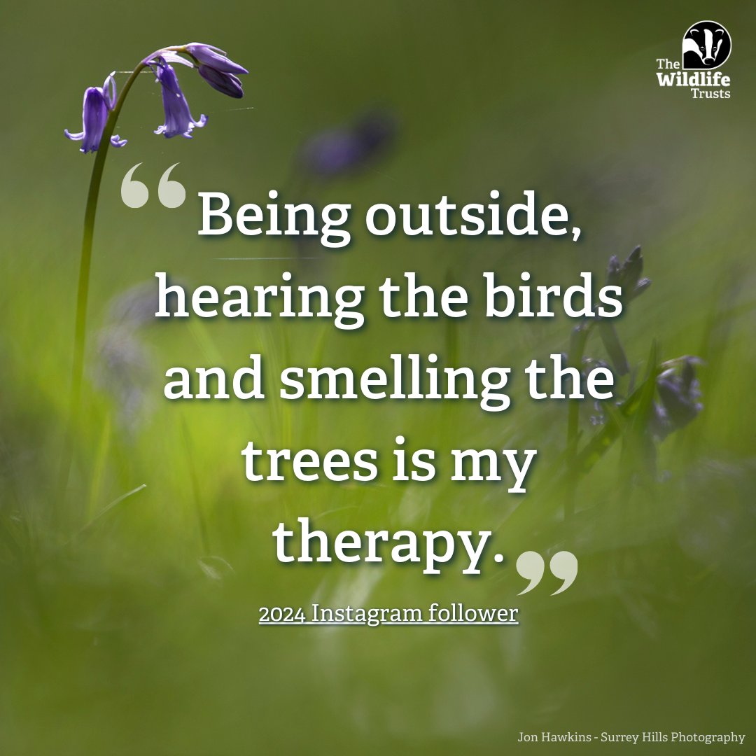 Real stories, real impact. How has nature helped you? Here are a few ways lives have taken a positive turn thanks to nature. 

Show your support for more #SocialPrescribing by sending your GP surgery a free postcard 👉 wildlifetrusts.org/nature-helps