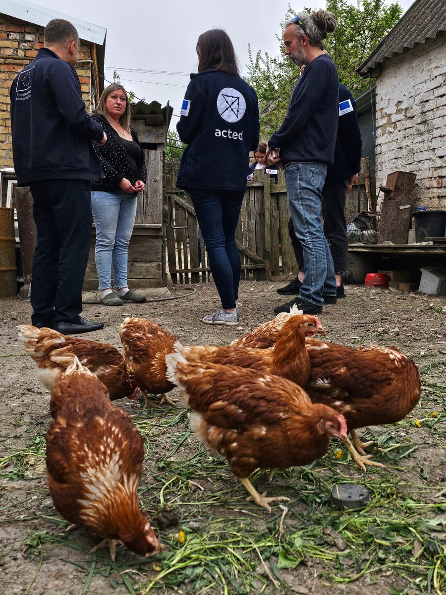 The impact of war is heavy on Olha's family, who live just 30 km from the frontline🇺🇦. Despite the challenges, she finds relief in the support of the EU and @Acted. With our partner, we helped Olha purchase a flock of chickens, supporting her household in these difficult times.