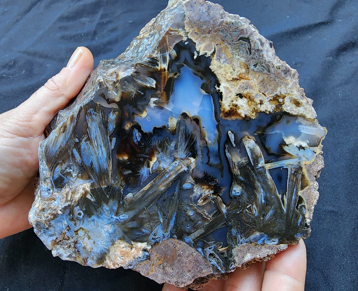 Thunderegg Half - Land of sparkle
#thunderegg #agate #collectible #agatecollector #unpolished #crystalhealing #stickaagate #achat #agata #Geology #geologyrock #blueagate #etsystore #eBayDeals #minerals #crystals #decorativerock #NaturalBeauty #natural #photooftheday #lapidary
