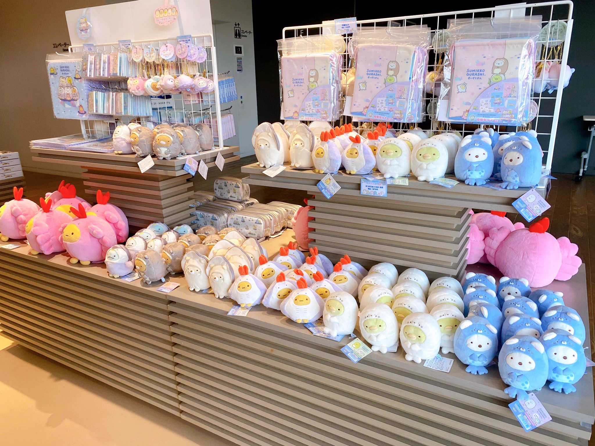 上越市立水族博物館 うみがたり on X: 