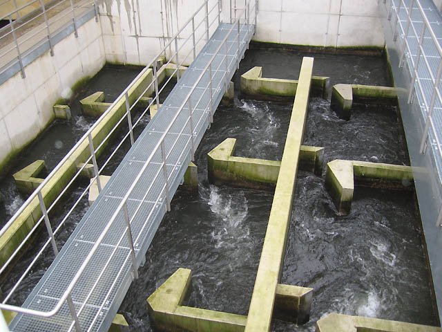 #ZahlDesTages Im Jahr 2008 ist auch am Wehr #Hengsteysee auf der linken Uferseite unmittelbar neben dem vorhandenen #Wasserkraftwerk eine #Fischaufstiegsanlage in Betrieb gegangen. 1/x (DruKo)