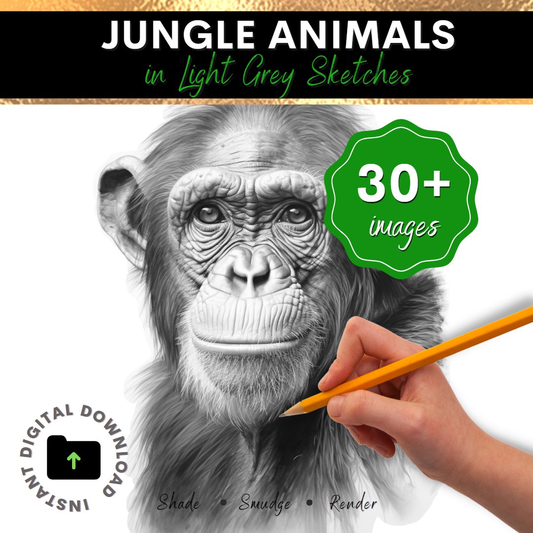 Draw 30+ Portraits of Magnificent Jungle Animals INSTANT Download: dcartspress.etsy.com/listing/155104… #animaldrawing #jungle #pencildrawing #realisticdrawing #beginnerartist