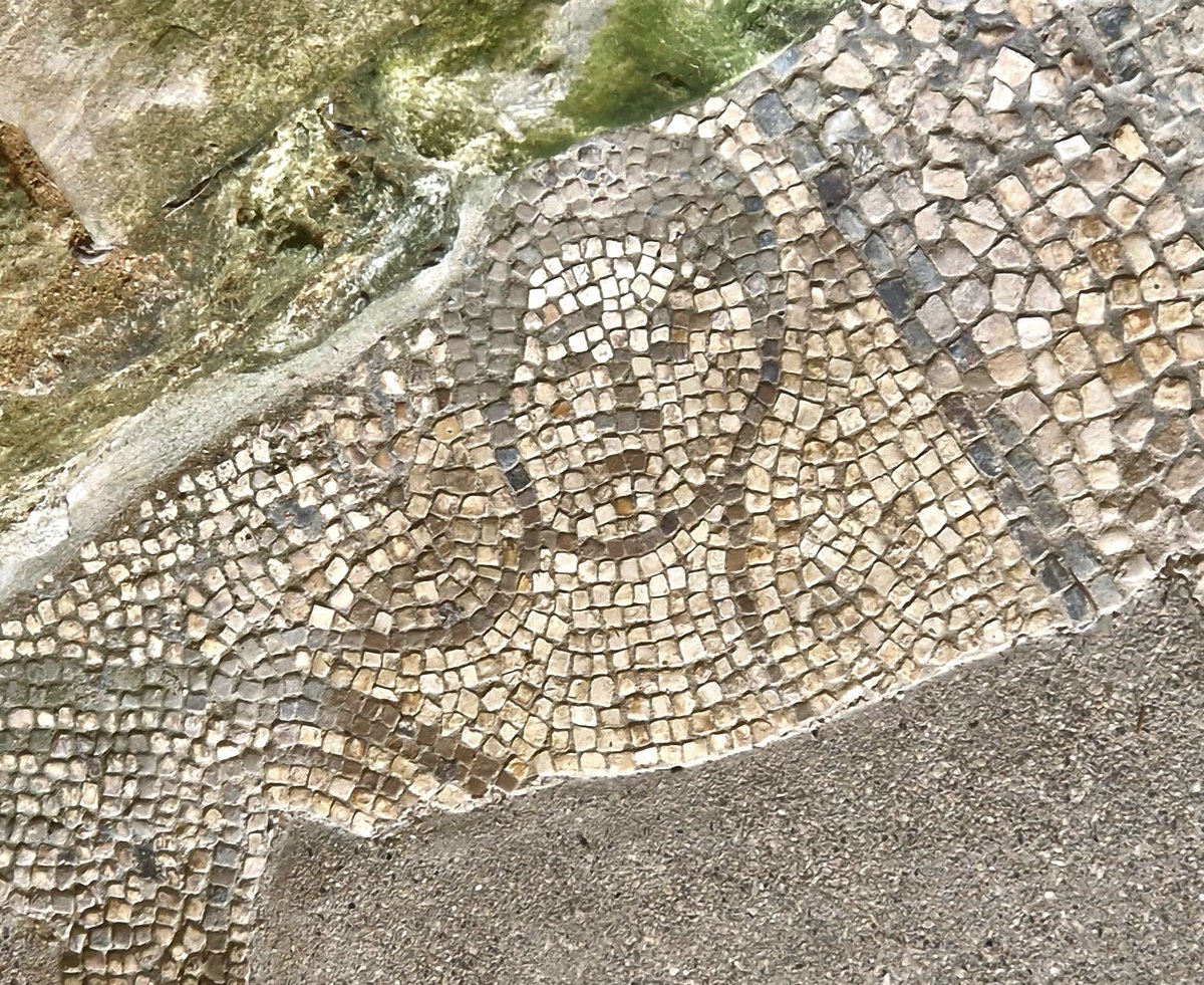 Fragment of a rather sad looking female face from a mid 3rd century AD #Roman floor found @BignorVilla West #Sussex The outline portrait is probably meant to represent Spring, with at least one bird on her right shoulder and two more originally nearby #MosaicMonday