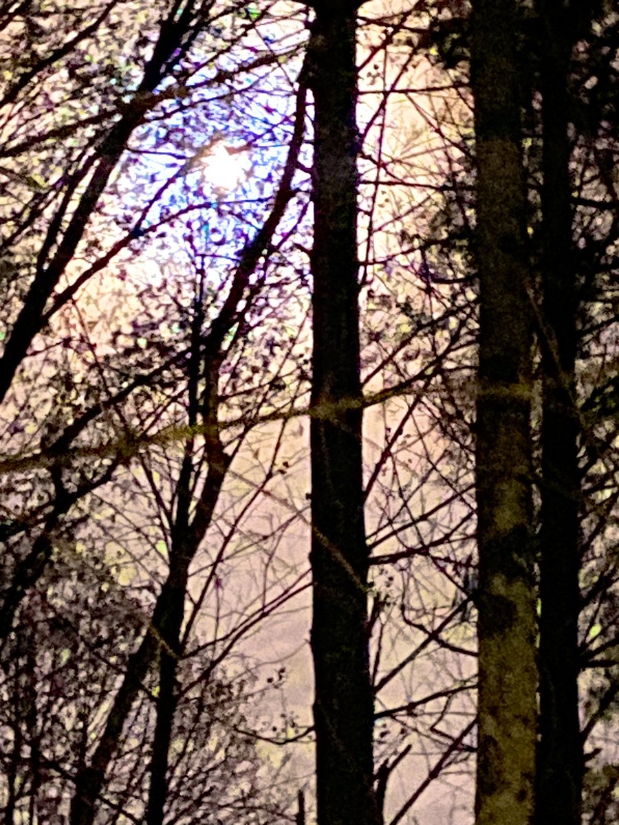 Tonight’s #moon. #moonlight #moonshiningbright #moonshiningbrightly #mountain #mountains #nc #northcarolina #appalacianmountains #blueridgemountains #outdoors #nature #moonlovers #moonwatch #moonenergy #moonphotography #moonphases #moonoftheday #themoon #sky #skies #moons