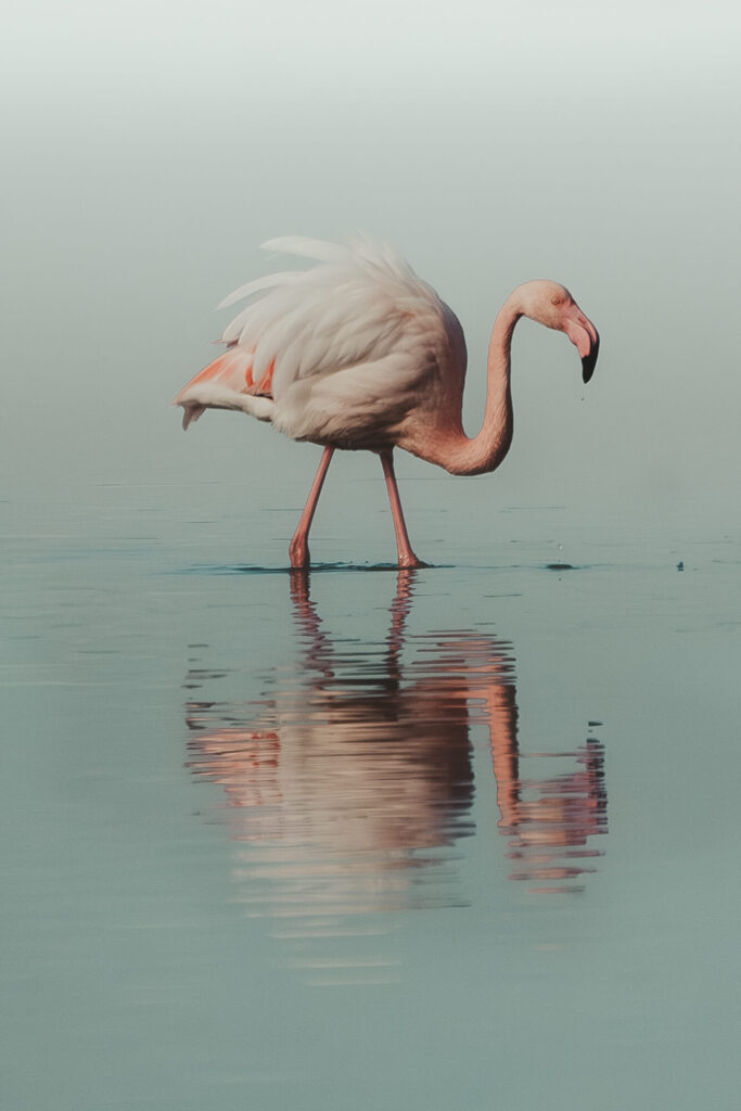 📷‘Frames from Andalucía’ es un viaje con 10 fotógrafos internacionales, que han recorrido nuestra tierra captando imágenes extraordinarias ¿Quieres ver #Huelva como nunca la has visto?➡ opgob.es/l8n9s2 ©Lizzie Peirce