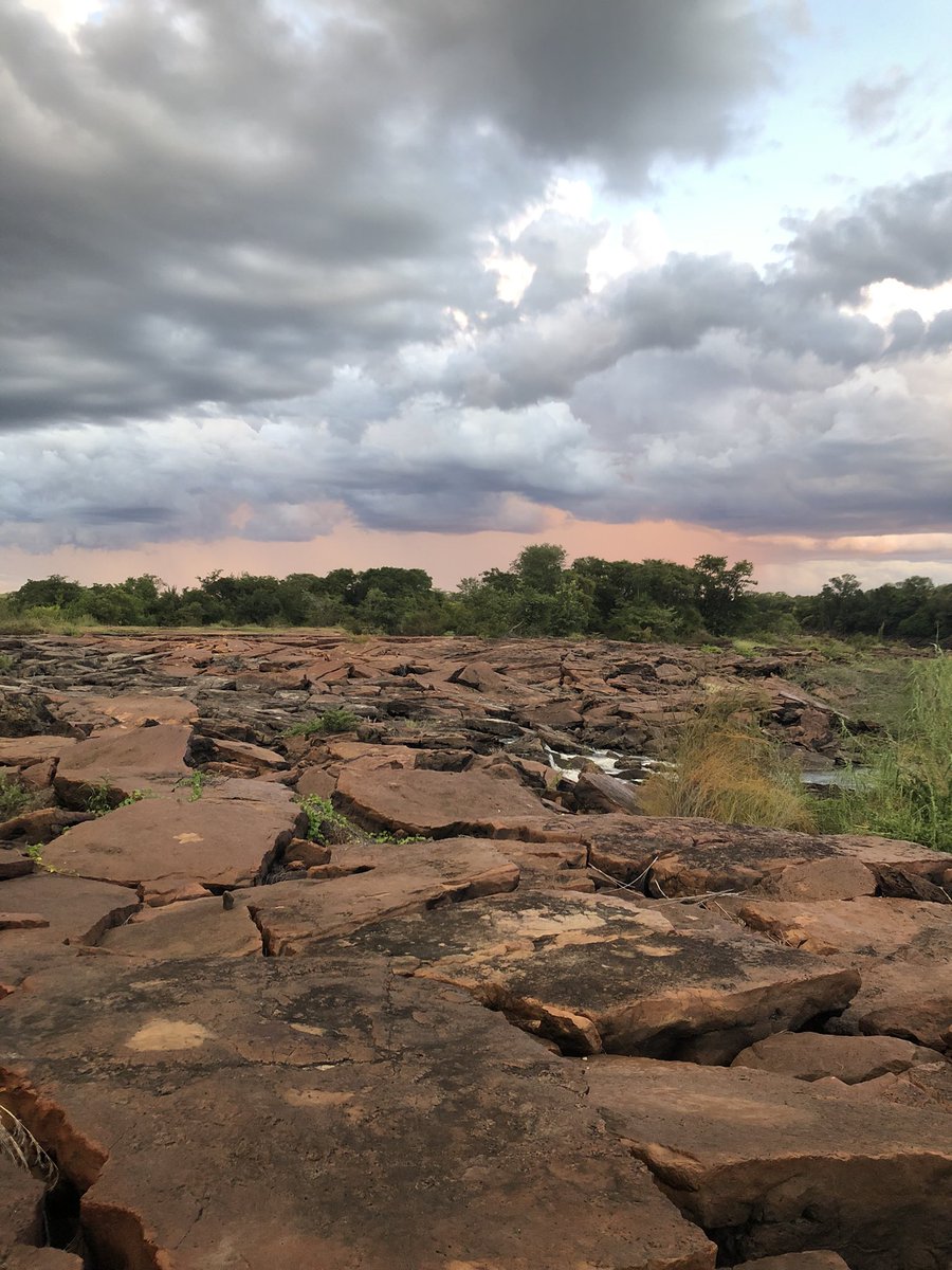 nictubbs's tweet photo. Xtraordinary Zambia trip, witnessing 1st hand conservation impact. Humbling 2 c how low Zambezi &amp; how disastrous crops r, when dry season is only Sept-Oct. State of emergency declared, I only hope we realise how Nature is part of solution, cross-sectoral cornerstone 2 our HumaniT https://t.co/NfqydZQ1Ug