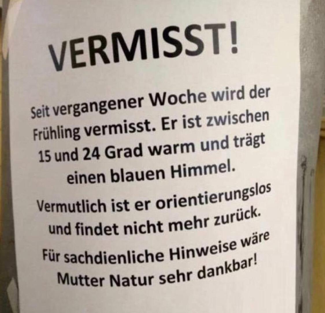 Isabella Lützelschwab tweet media