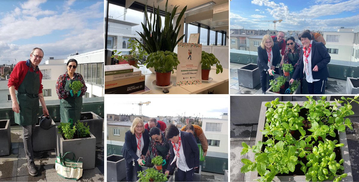 Today is #EarthDay2024 – a day where we demonstrate our support for environmental protection! 🌍 To mark this important day, say hello to LuxSE's corporate garden, which was created by our Facility Management team as part of our Green Resolution Challenge.🌱