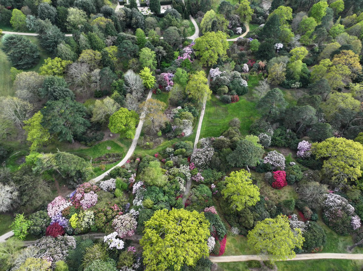 Marie-Louise Agius tweet media