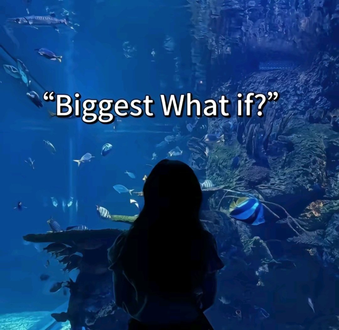 _laaaaayyyyy's tweet photo. My Biggest What if? https://t.co/KD9dlATGMi