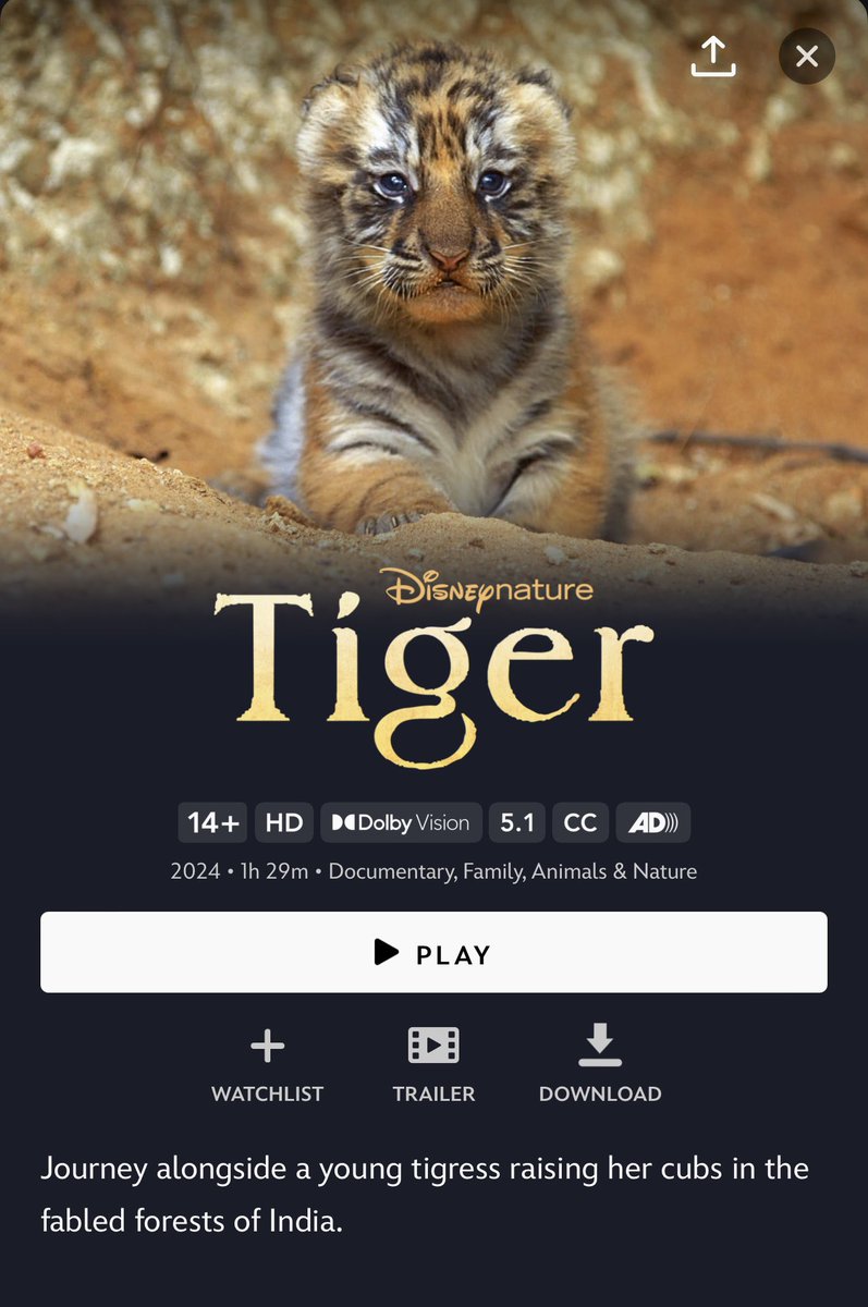 I am very, very proud to have scored this beautiful documentary film released today on @DisneyPlus , following a family of tigers for five years in India. It is a genuinely stunning film about my favourite animal on the planet… #tiger @priyankachopra is the narrator. 🙏🏾 🐯