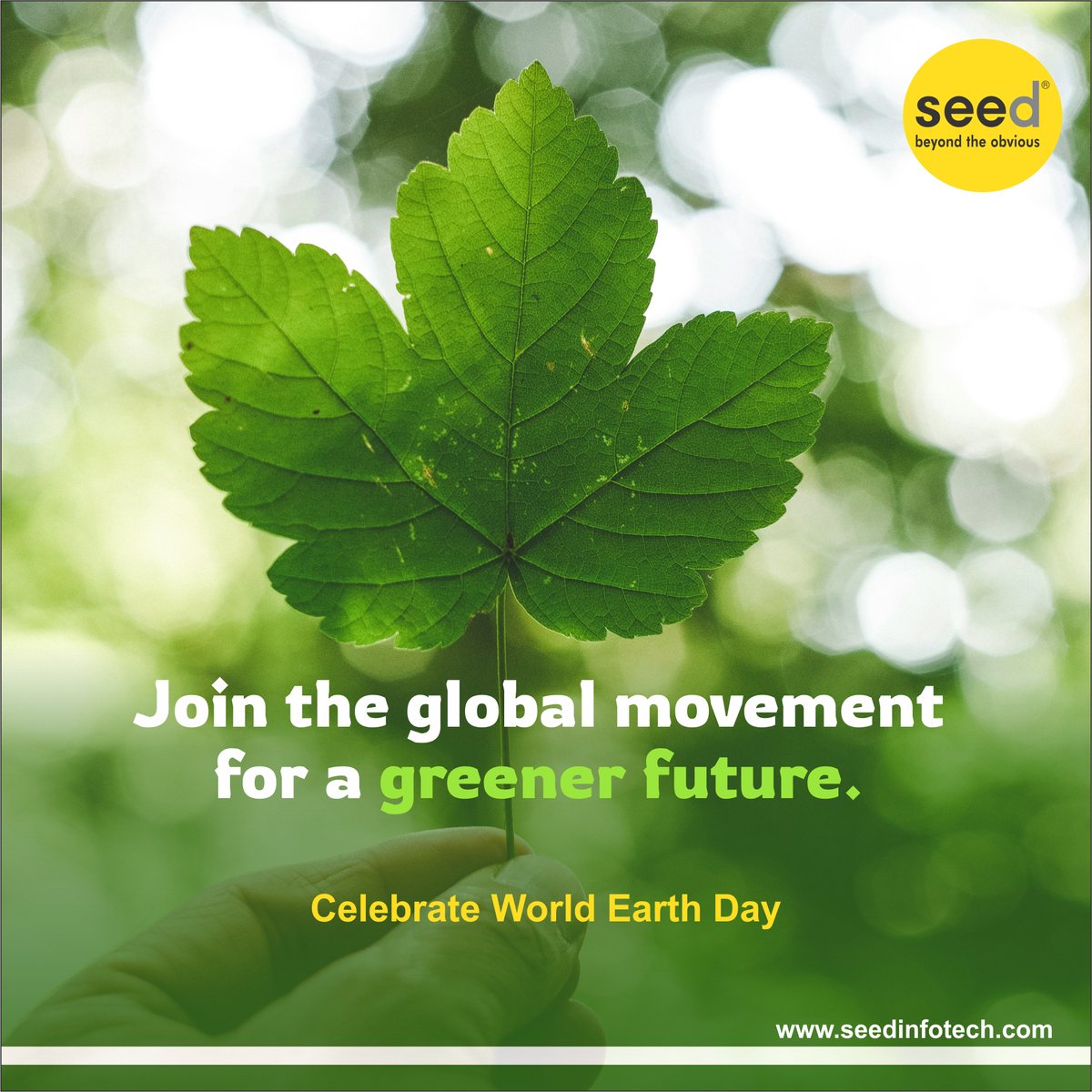 Go green
Let's celebrate Earth Day 

visit: seedinfotech.com
Call: 9225520000

#earthday #ittraining