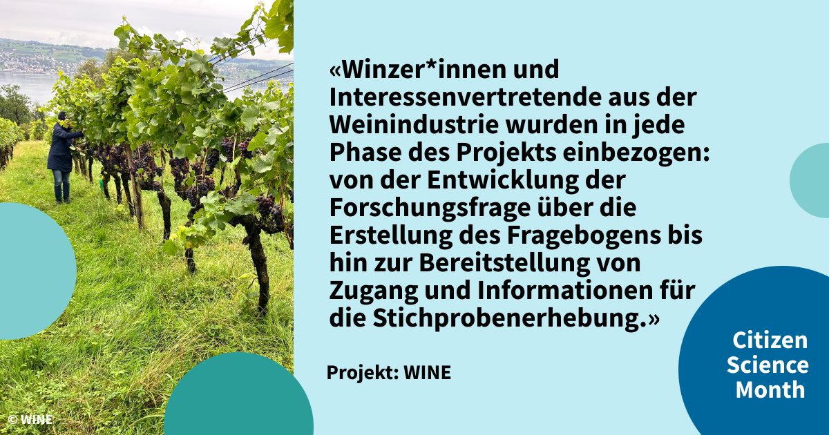 Das #SeedGrant-Projekt «WINE» ermöglichte Einblicke in nachhaltige Weinbaupraktiken zu gewinnen und deren Auswirkungen auf die Gesundheit der Weinreben, die biologische Vielfalt und letztlich die Weinqualität zu bewerten. citizenscience.uzh.ch/de/projekte/wi… #CitSciMonth #CitizenScience