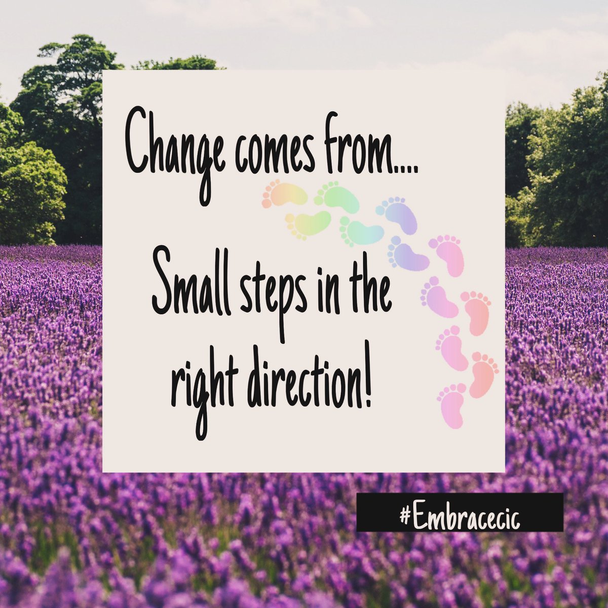 Embrace CiC tweet media