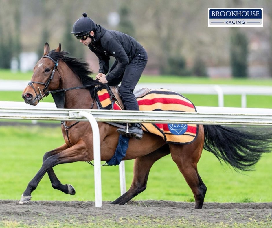 We. Go. Again. 𝙏𝙖𝙘𝙩𝙞𝙘𝙖𝙡 𝘾𝙤𝙣𝙩𝙧𝙤𝙡 cruising on Warren Hill with @EddieEdge97.