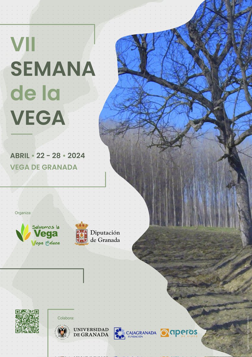 HOY! Celebramos la #SemanaDeLaVega2024 con #Secaderos, la película de Rocío Mesa, producida por @LaClaquetaPC que rinde homenaje a la #VegaDeGranada y que contó con la ayuda de @dipgra.🎬🍀🌿🌼@CanalUGR #Granadaescenariodecine 👉youtube.com/watch?v=j12Ecz…