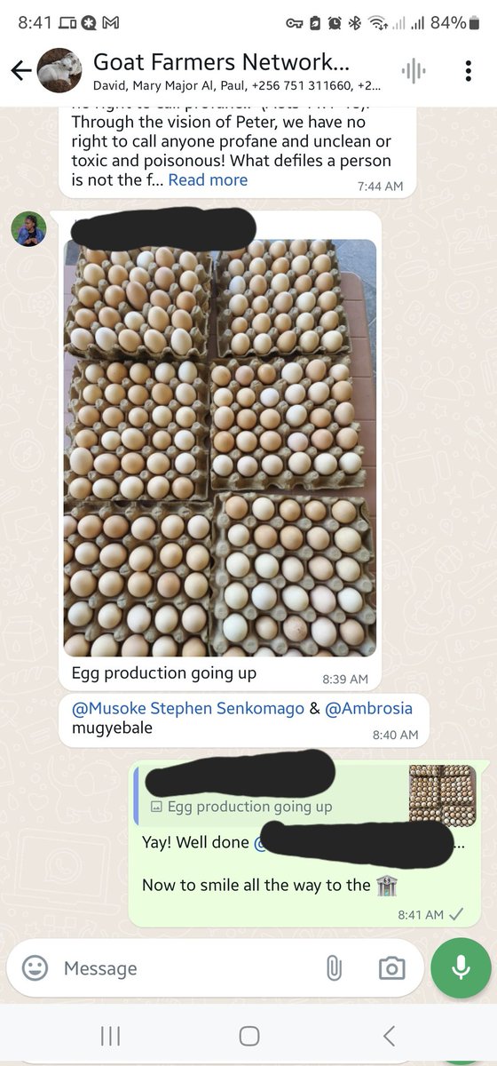 Another happy customer, #LocalChicken are a viable option for commercial egg laying

What are you waiting for?

Come let us help you get started

#HomeFarming #Poultry #Agribusiness

Keep up the excellent support @ssmusoke for our farmers