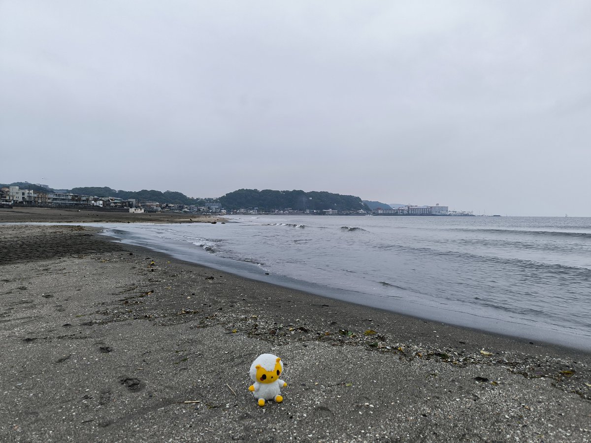 鎌倉の海岸、材木座海岸まで出ました
右が稲村ヶ崎、左が逗子マリーナの方面なの。曇ってて富士山は見えず。
大潮で海面が高くジンくんが流されそうです
#旅するジンくん