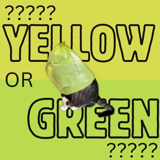 Is the $bag yellow or green?