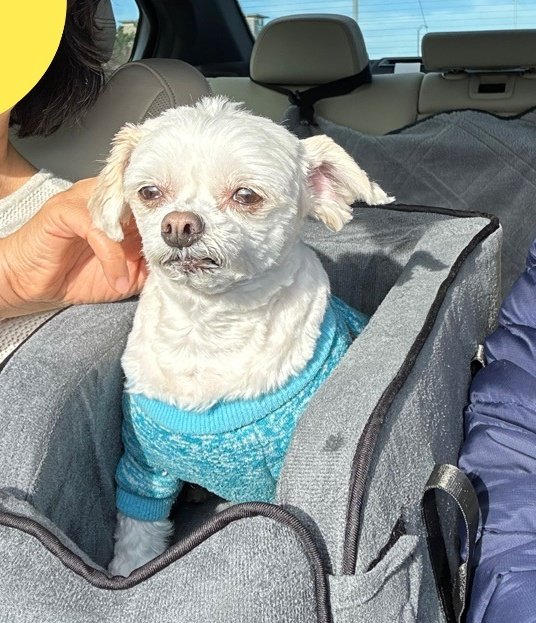 sooooooj tweet media