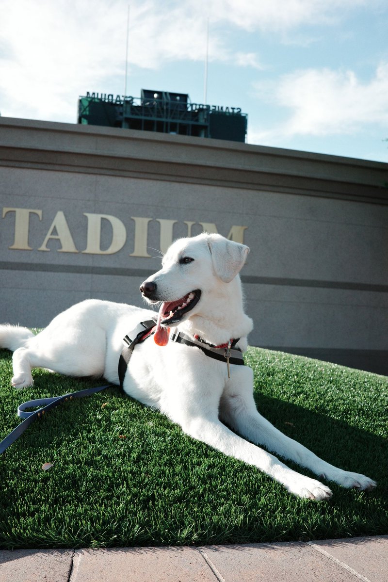 sooooooj tweet media