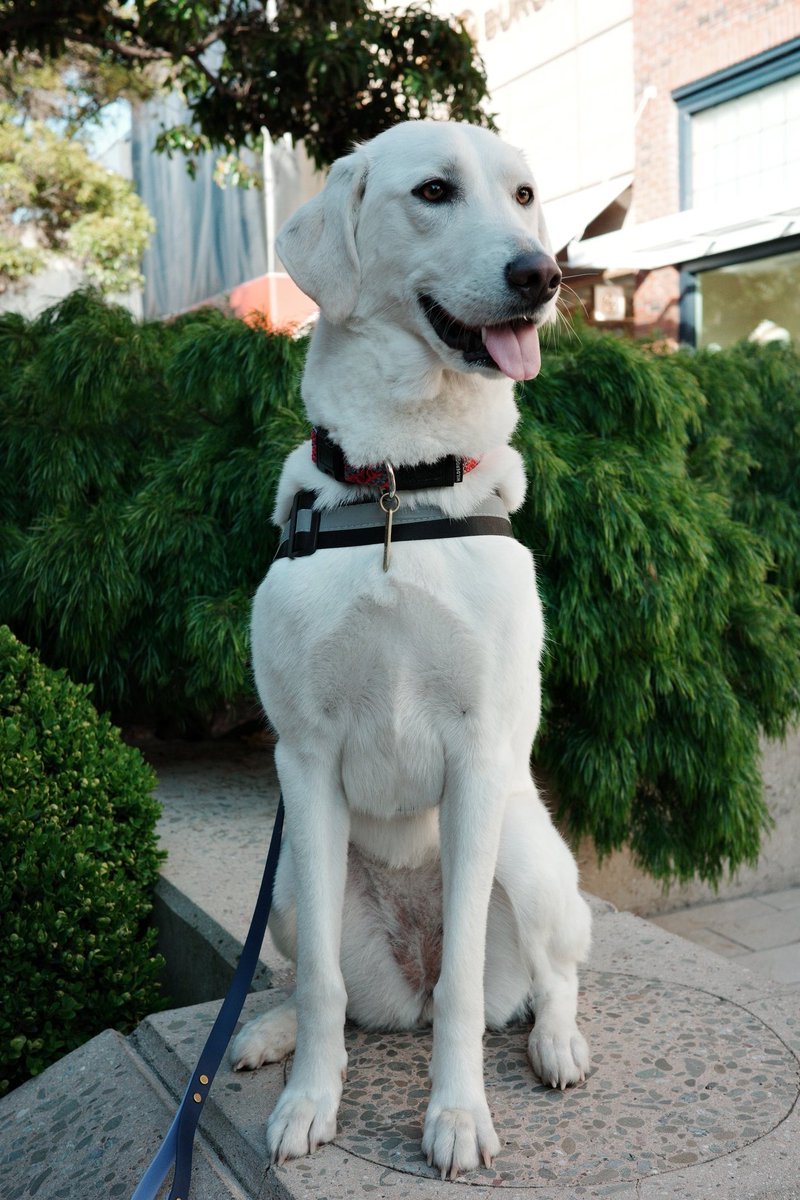 sooooooj tweet media