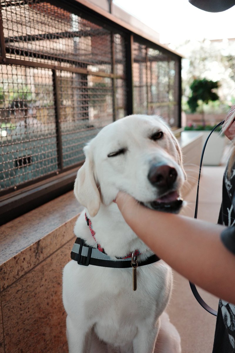 sooooooj tweet media