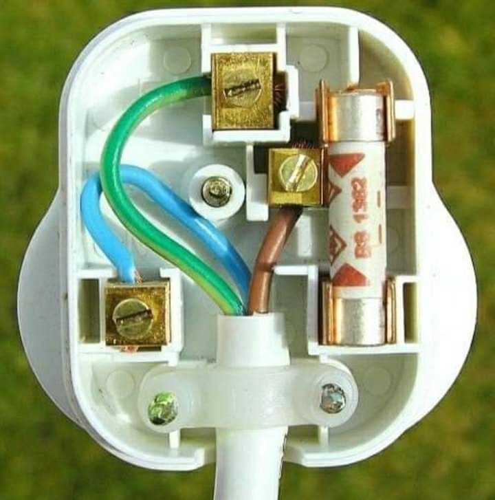 Kids. This is the inside of a plug. We did this ourselves.