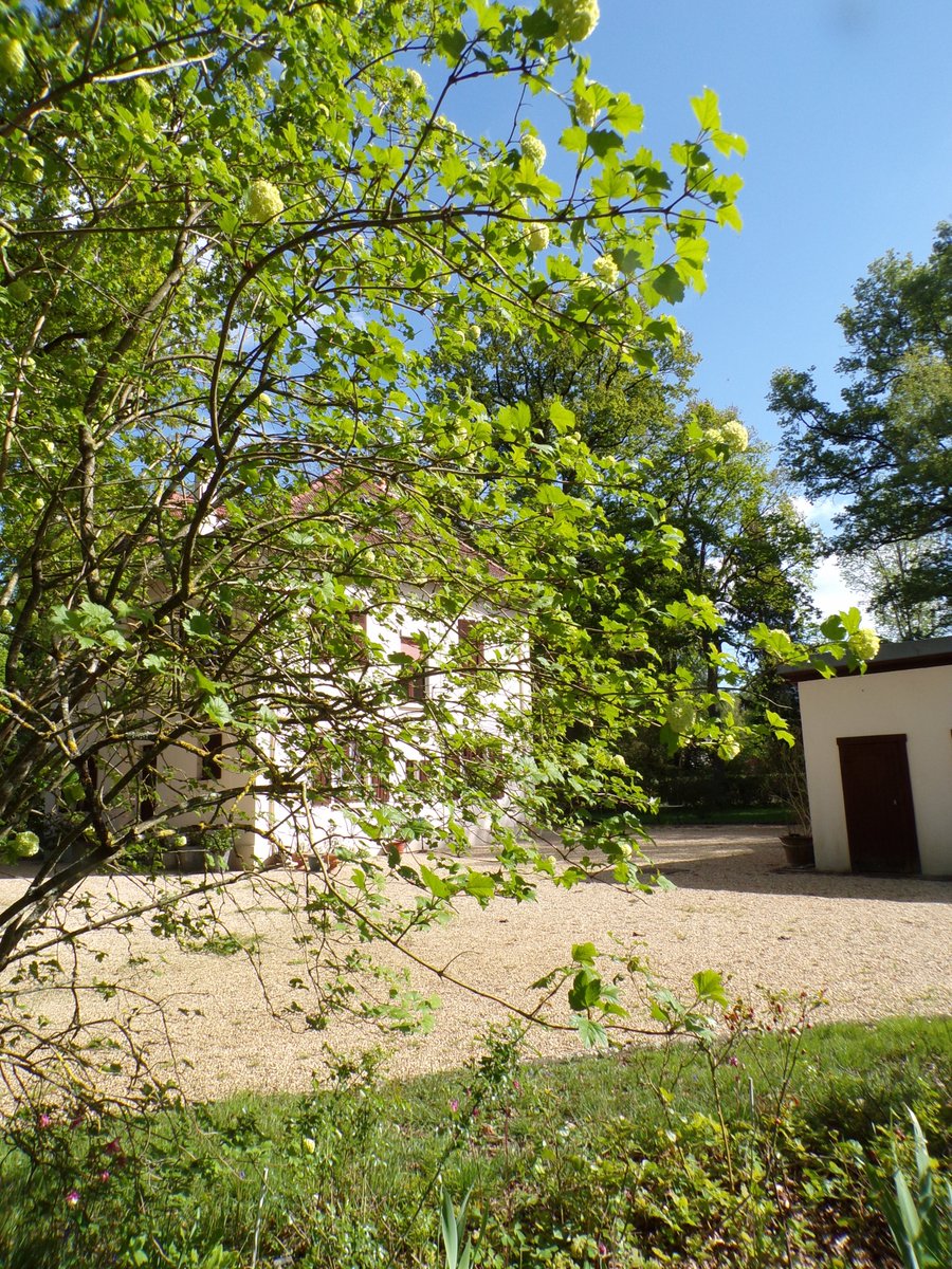 ' Le Chêne Marie '... 📸 Un lundi frais, ensoleillé... 🍃