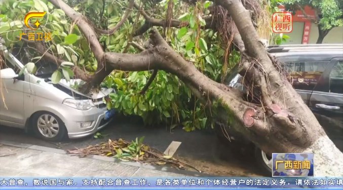 As of 5 pm Sunday, a total of 99,029 people in South China's #Guangxi Zhuang Autonomous Region have been affected by the heavy rainfall, with 600 people being evacuated for safety. The affected area of crops is 3,788 hectares, for a direct economic loss of 284.5 million yuan
