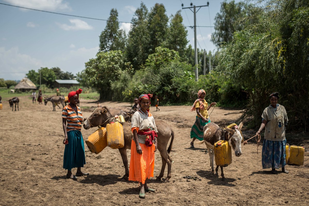 In the Horn of Africa, one of the most vulnerable regions in the world, water security is the foundation for development. With heightened climate variability, groundwater resilience is crucial amidst frequent droughts sparking conflict. wrld.bg/RKm650RiFvC