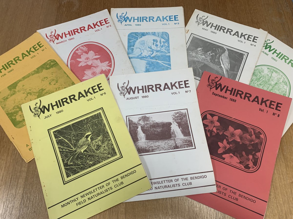 This week we're scanning the 'Whirrakee, the newsletter of the Bendigo Field Naturalists Club'. These will soon be freely accessible on @BioDivLibrary thx to our @PRO_Vic-funded Local History Grant. Can't wait? Flick thru our growing Field Nat Collection: biodiversitylibrary.org/collection/FNC…