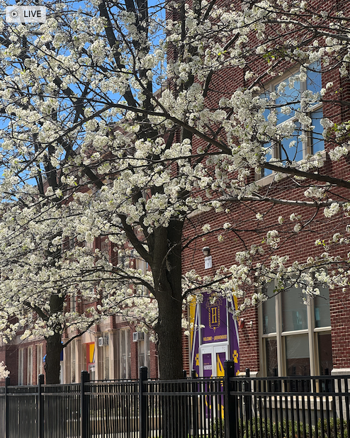 Hibbard School tweet media