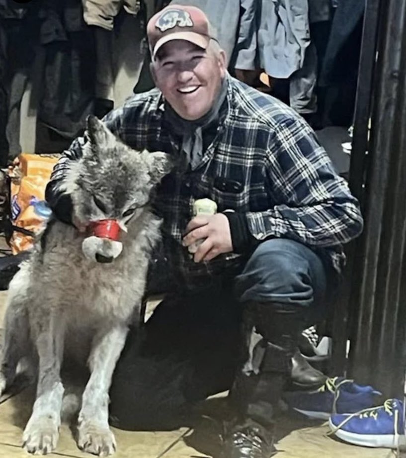 Yellowstone National Park vacationers: If you are going to YNP this year, please go in a camper or at least  boycott Wyoming though may be inconvenient. A 10 month old wolf pup was chased &amp; battered by snowmobile, tortured in a bar then beaten to death. The state allows it.