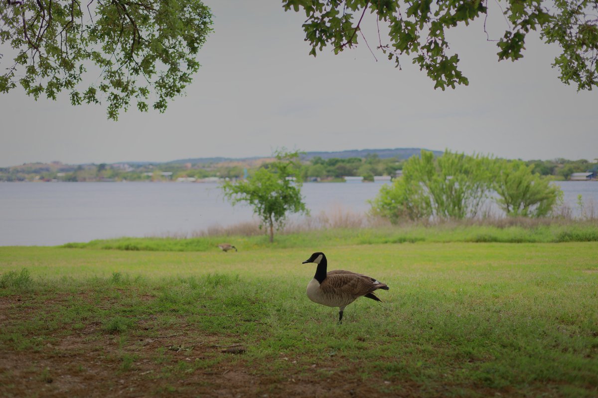 #inkslake #inkslakestatepark #stateparks #texas #tx #burnet #atx