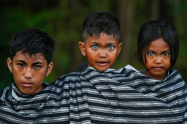 Last week i read about Kabru and he mentioned that both their parents doesnt have blue eyes. they've black eyes instead
then i remember theres actual tribe in Indo that sometimes having children with pretty blue eyes, They called Buton Tribe. maybe ryoko kui inspired by this?